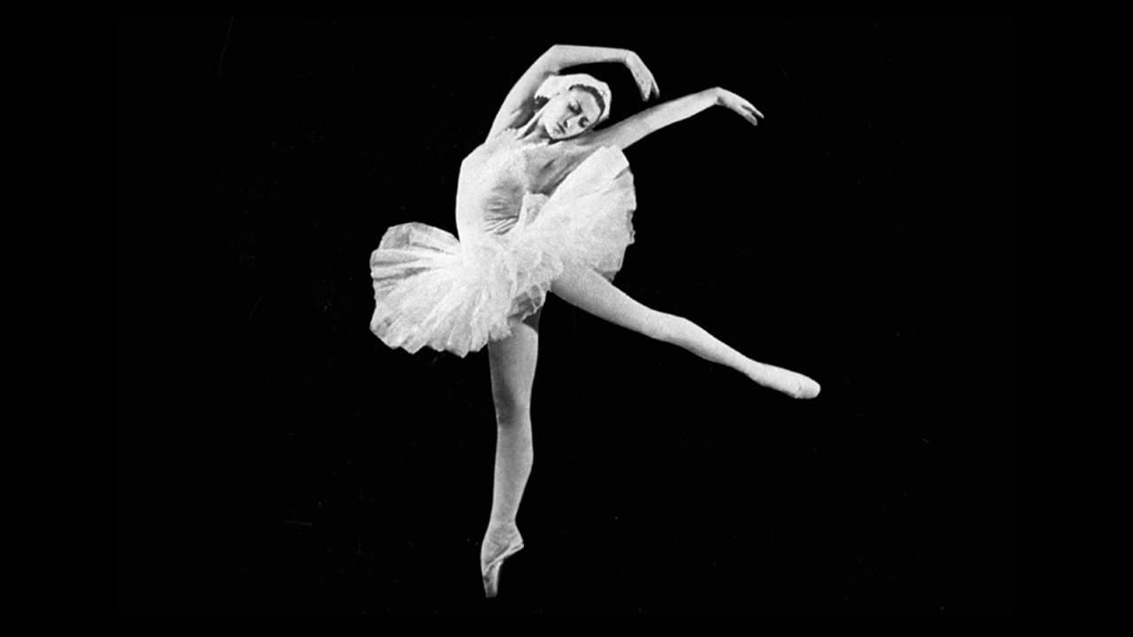 Зодиакの背景画像