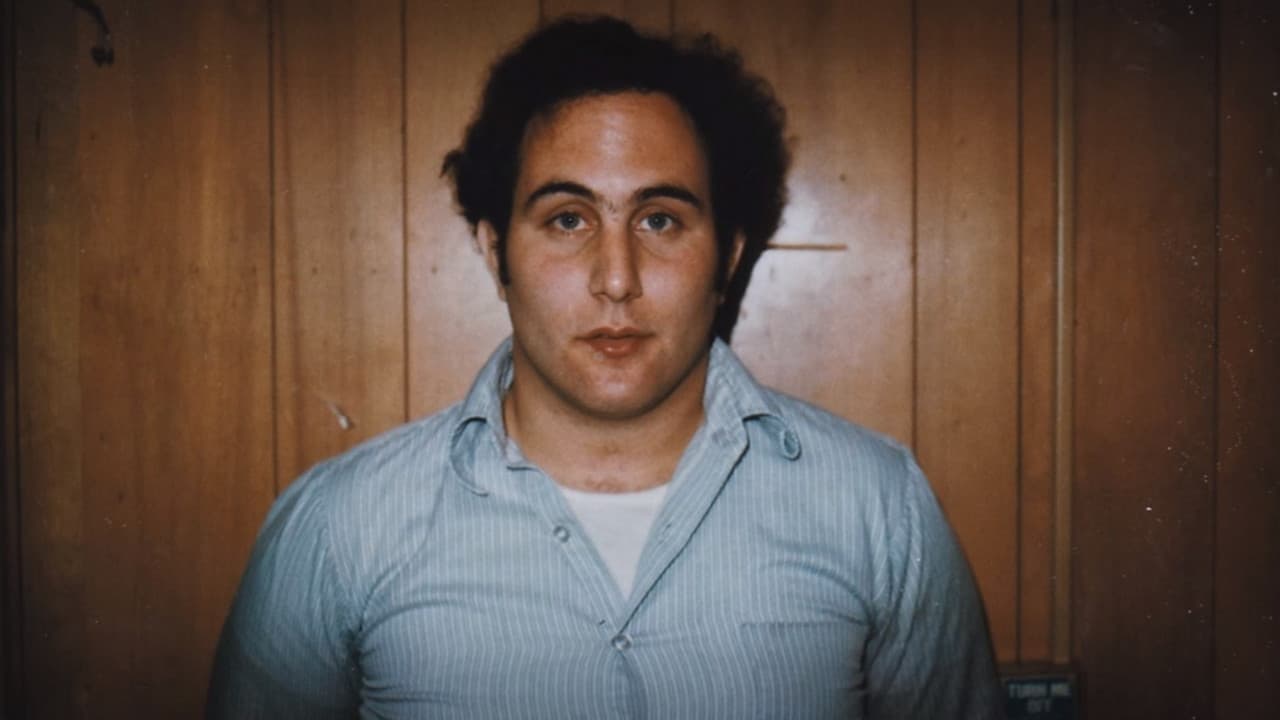 サムの息子たち: 狂気、その先の闇への背景画像