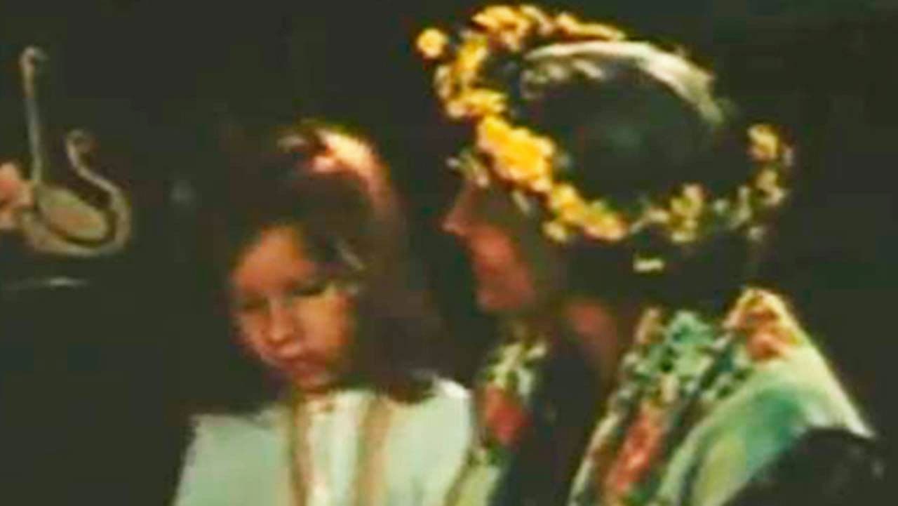 Trecea o lebada pe apeの背景画像