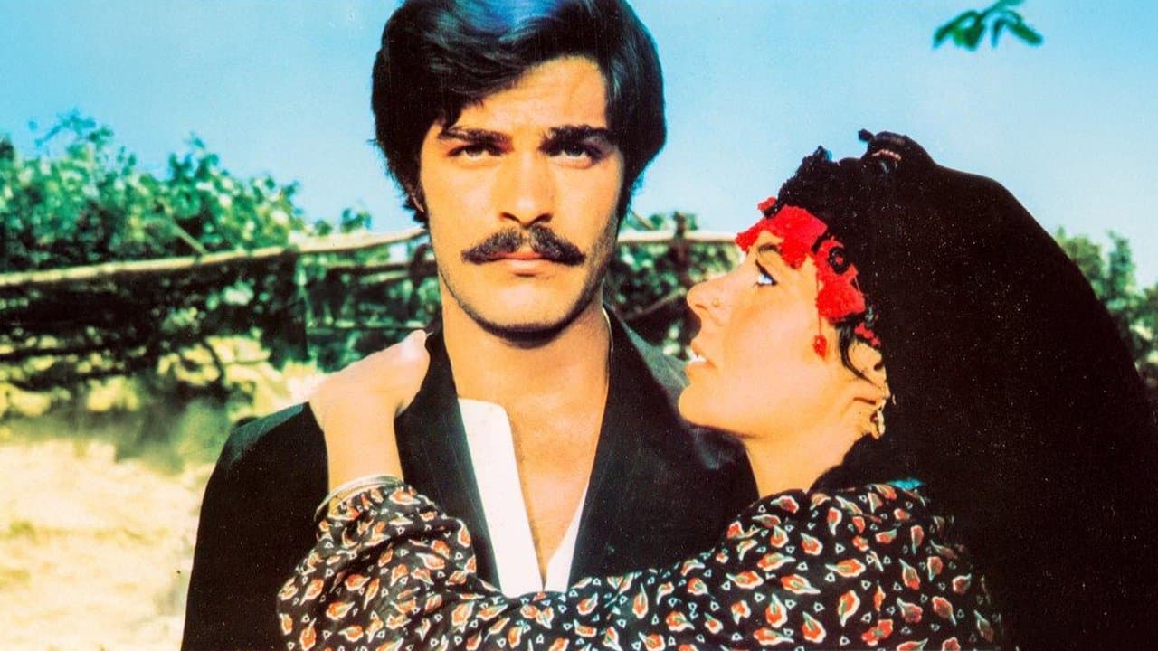 Ezo Gelinの背景画像