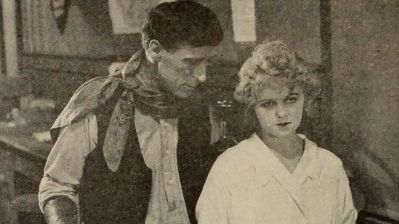 The Border Wirelessの背景画像