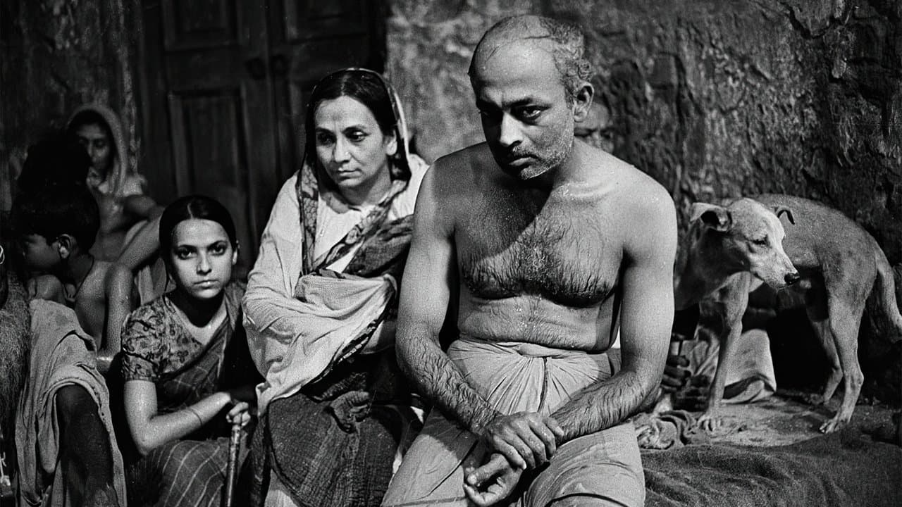 কলকাতা ৭১の背景画像