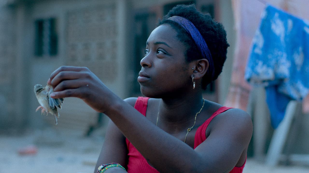 Le Voyage de Taliaの背景画像