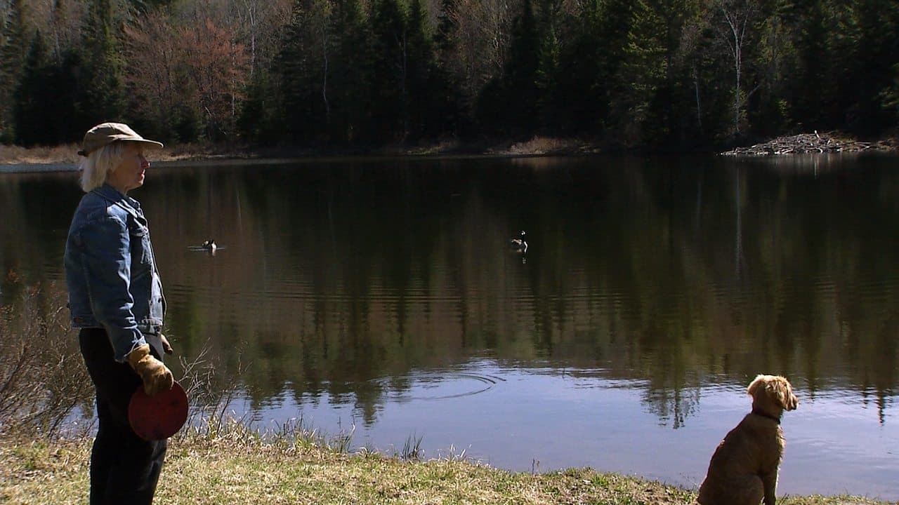 Paint Until Dawn: a documentary on art in the life of James Gahaganの背景画像