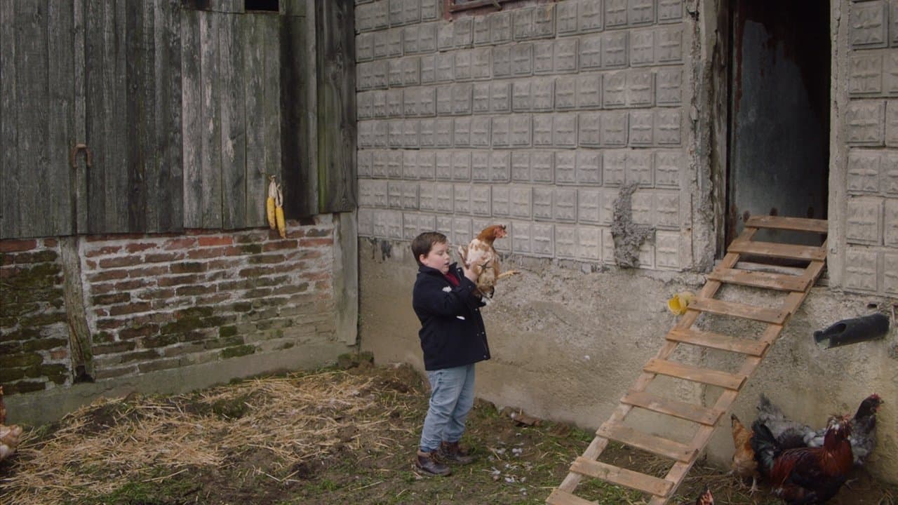 Tako te volimの背景画像