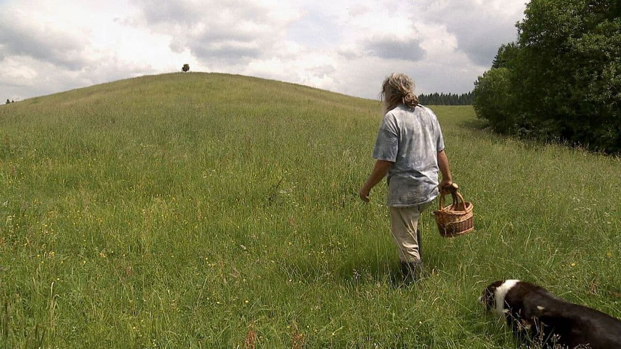 Auf der Suche nach Heilernの背景画像