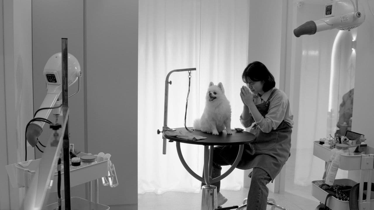 好狗命の背景画像