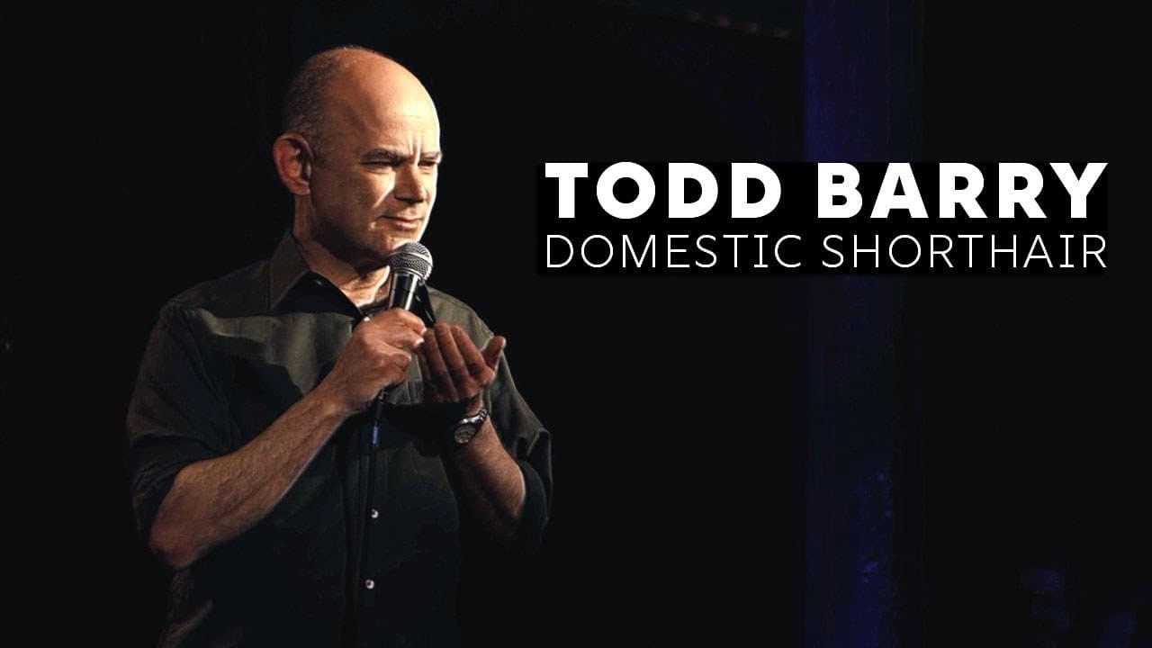 Todd Barry: Domestic Shorthairの背景画像