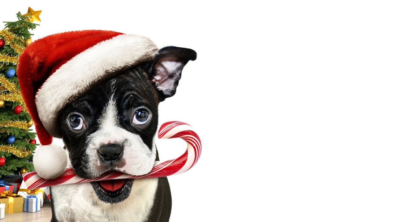 Bone Aloneの背景画像