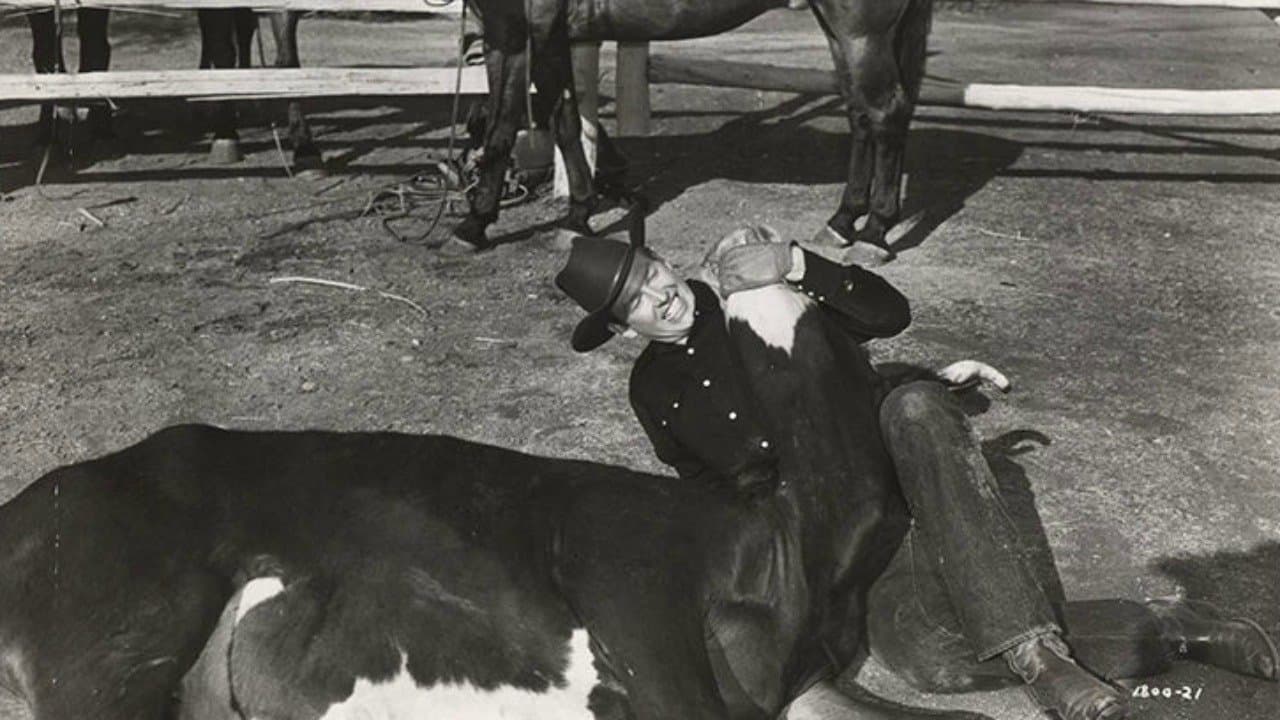 The Arizona Cowboyの背景画像