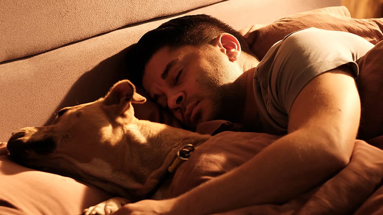 Dikkat Köpek Varの背景画像