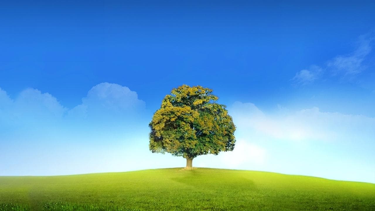 Who Do You Think You Are?の背景画像