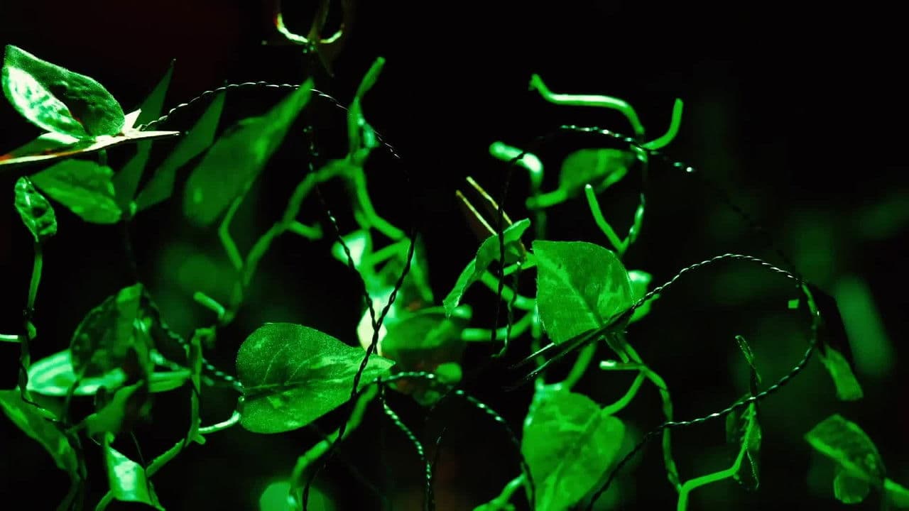 女他の背景画像