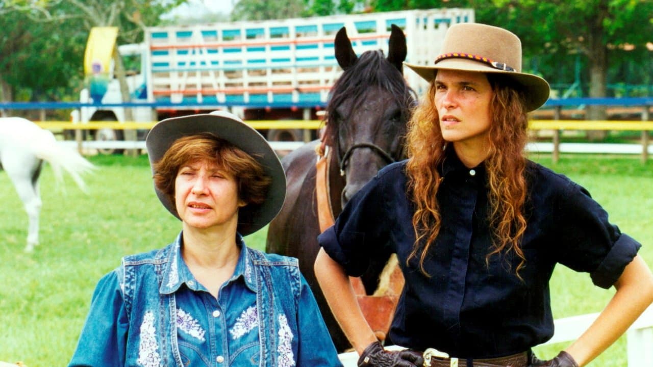 Corpo Douradoの背景画像