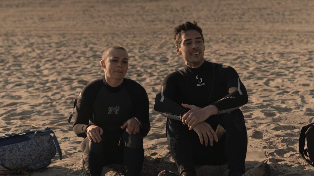 Shreddedの背景画像