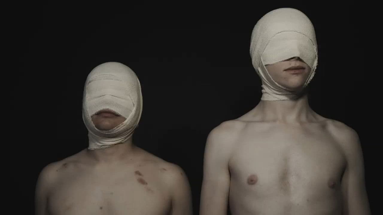 The Biteの背景画像