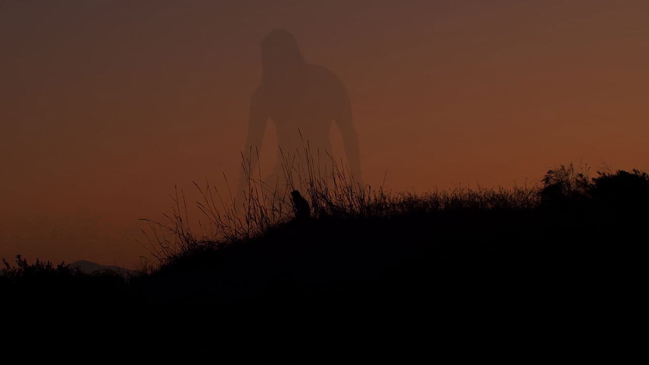 A World Softly Lullsの背景画像