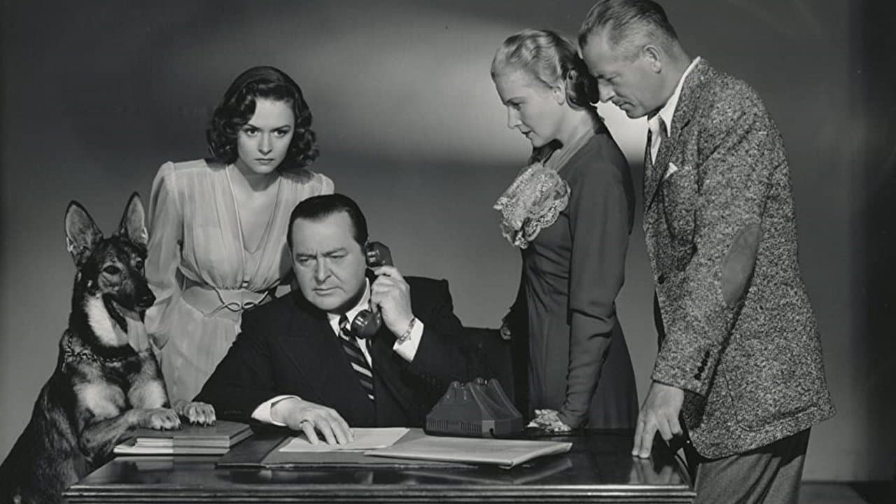 Eyes in the Nightの背景画像