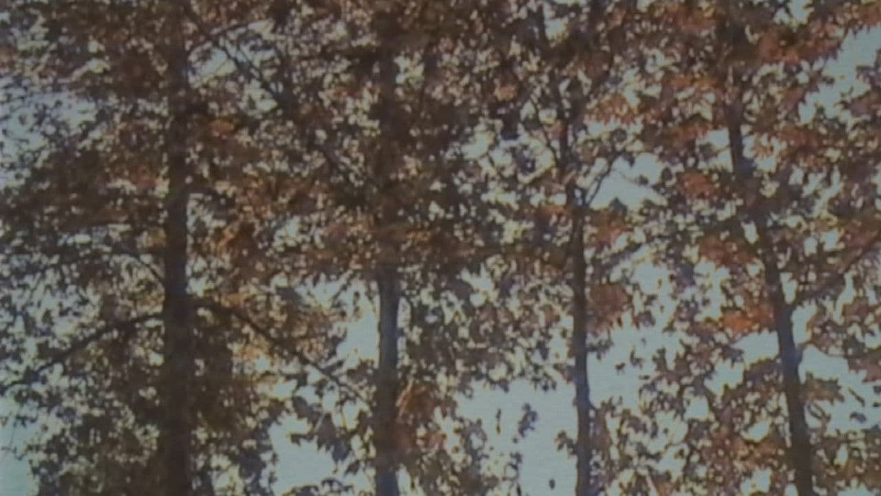 Self Decapitationの背景画像