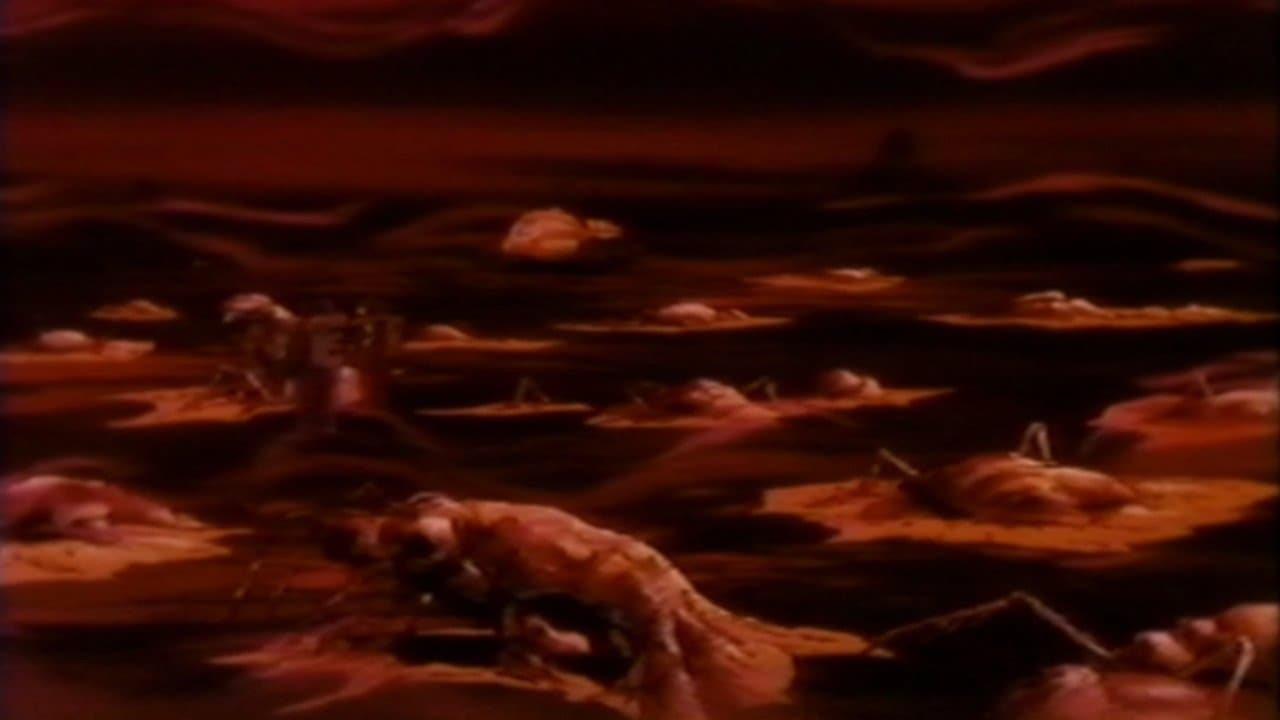 ヘル・ターゲットの背景画像