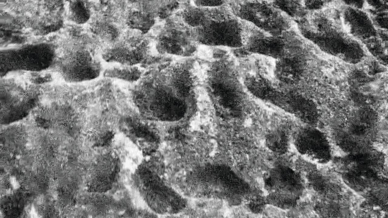 Requiem For A Hollow Manの背景画像