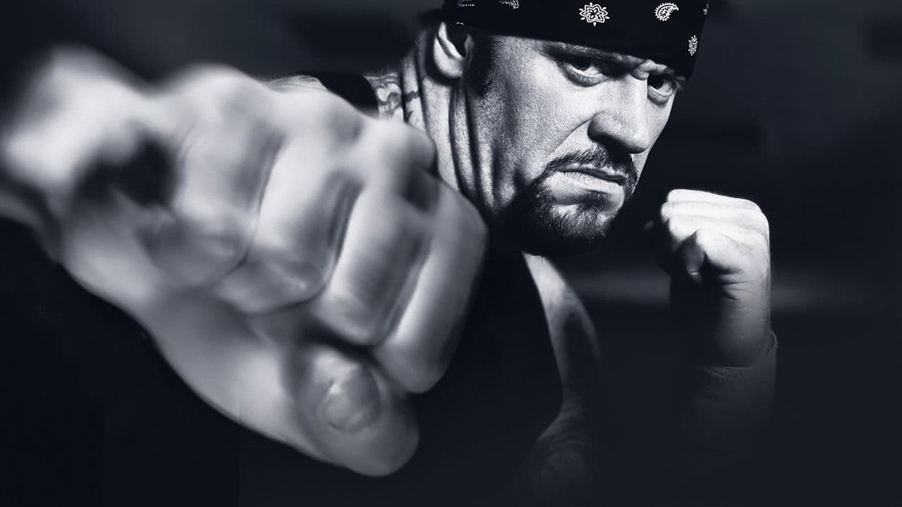 WWE Vengeance 2003の背景画像