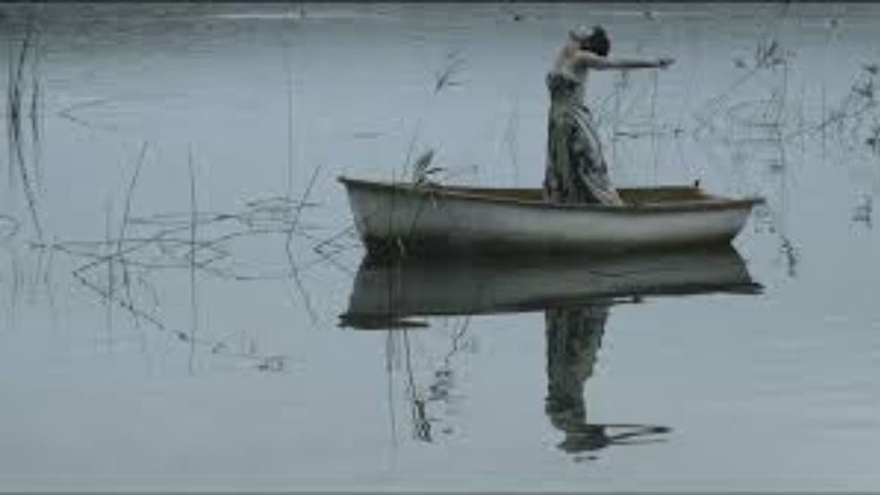 Algunas aves vuelan solasの背景画像