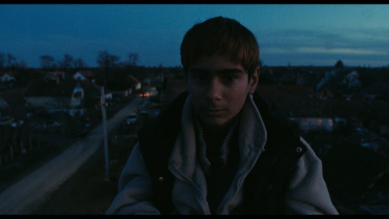 The Spectacleの背景画像