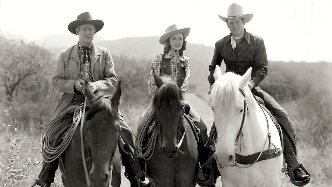 The Cherokee Flashの背景画像