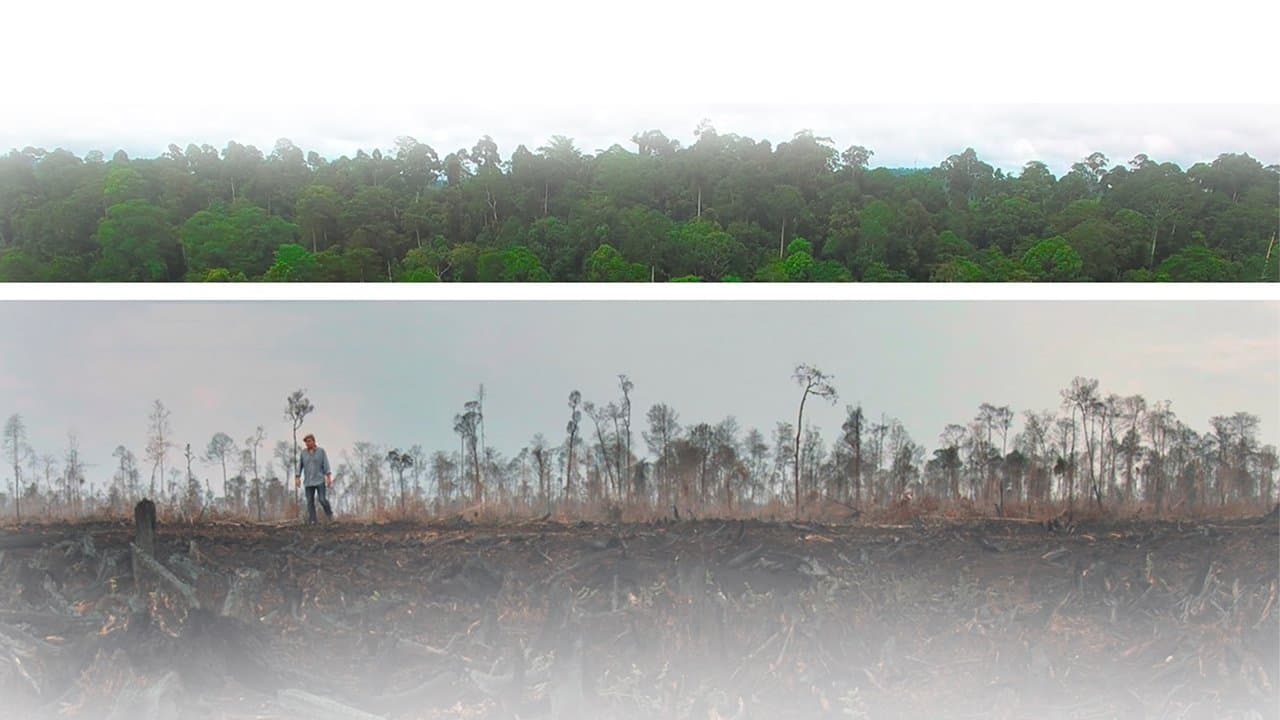 Die grüne Lügeの背景画像