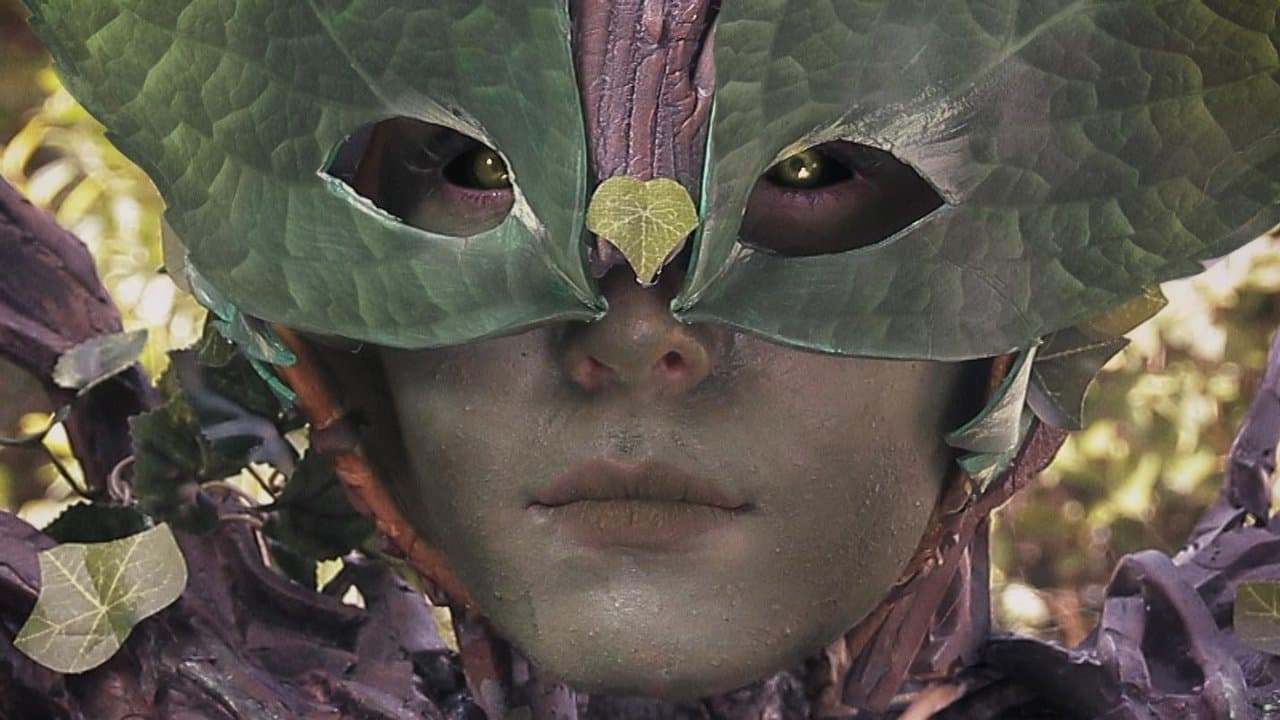 There's Something in the Woodsの背景画像