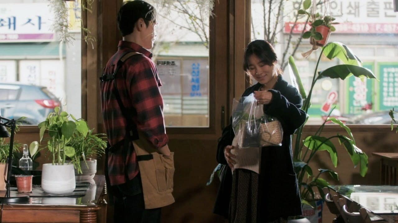 식물카페, 온정の背景画像