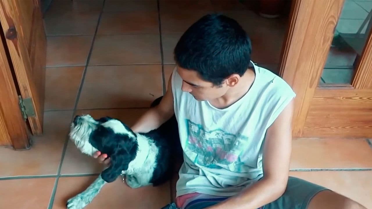 Los muertos regresanの背景画像