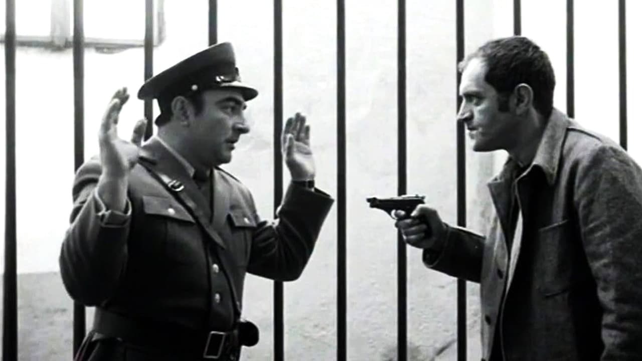 Zazidaniの背景画像