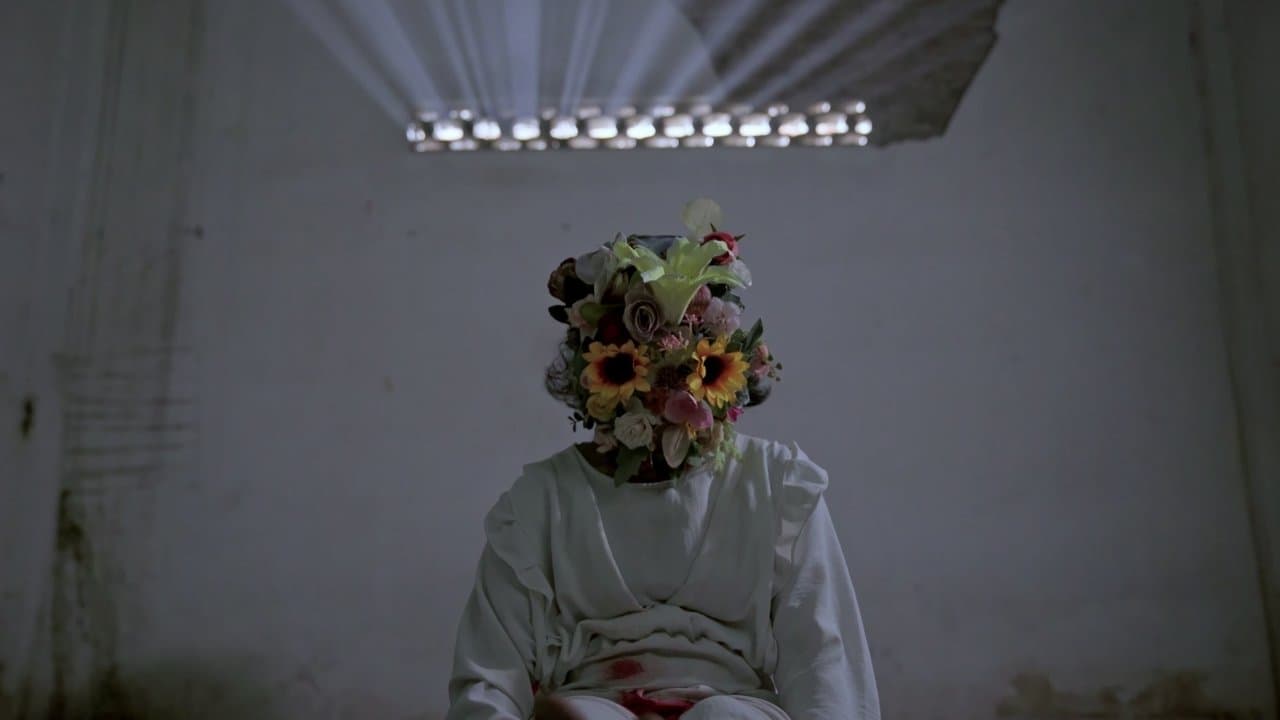 Midnight Sunの背景画像