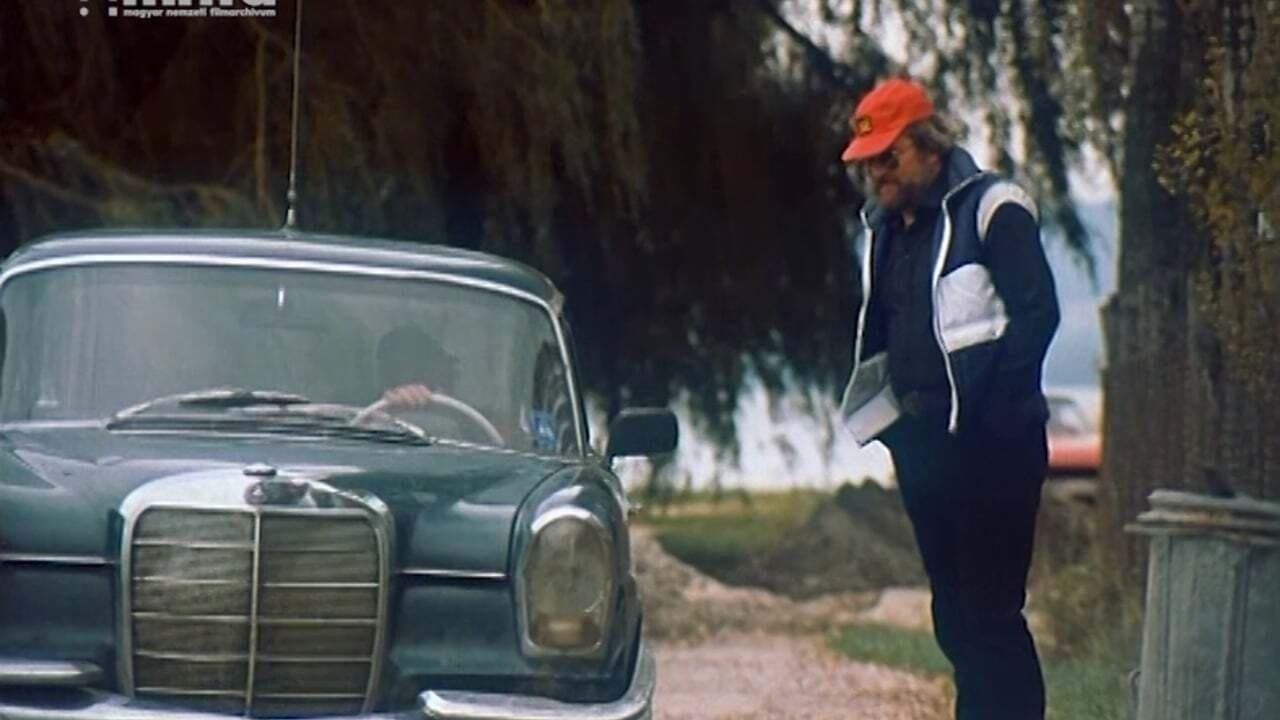 Csak semmi pánikの背景画像