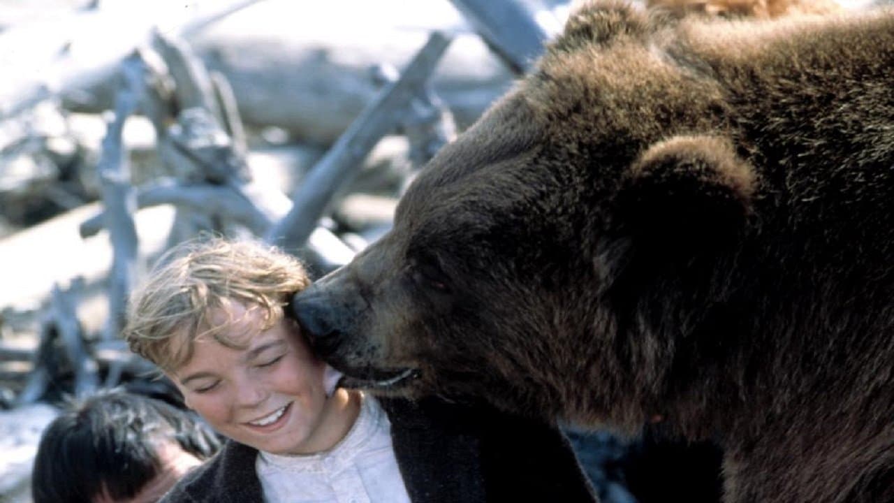 Grizzly Fallsの背景画像