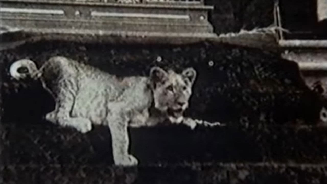 Upon Westminster Bridgeの背景画像