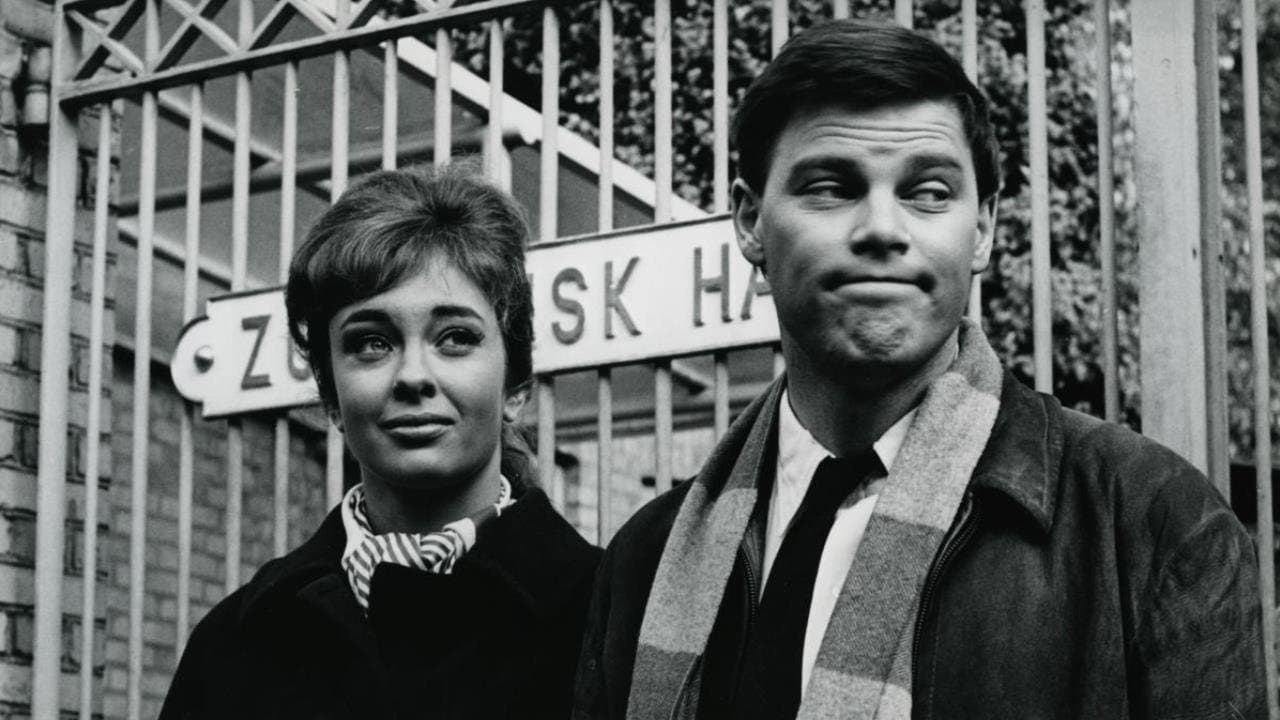 Duellenの背景画像