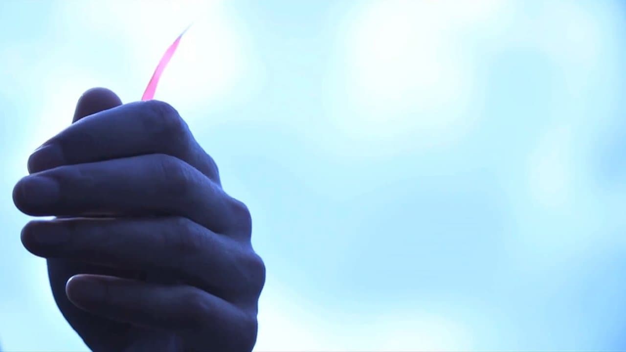 Voilesの背景画像