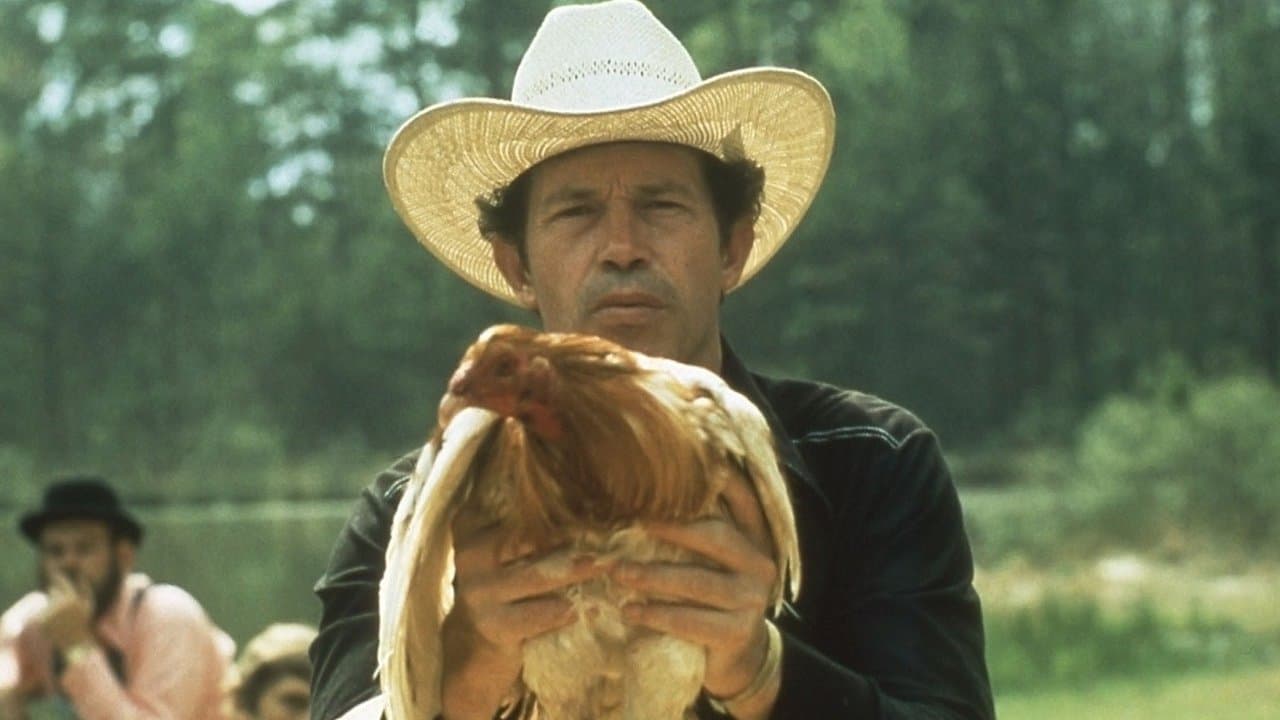 Cockfighterの背景画像