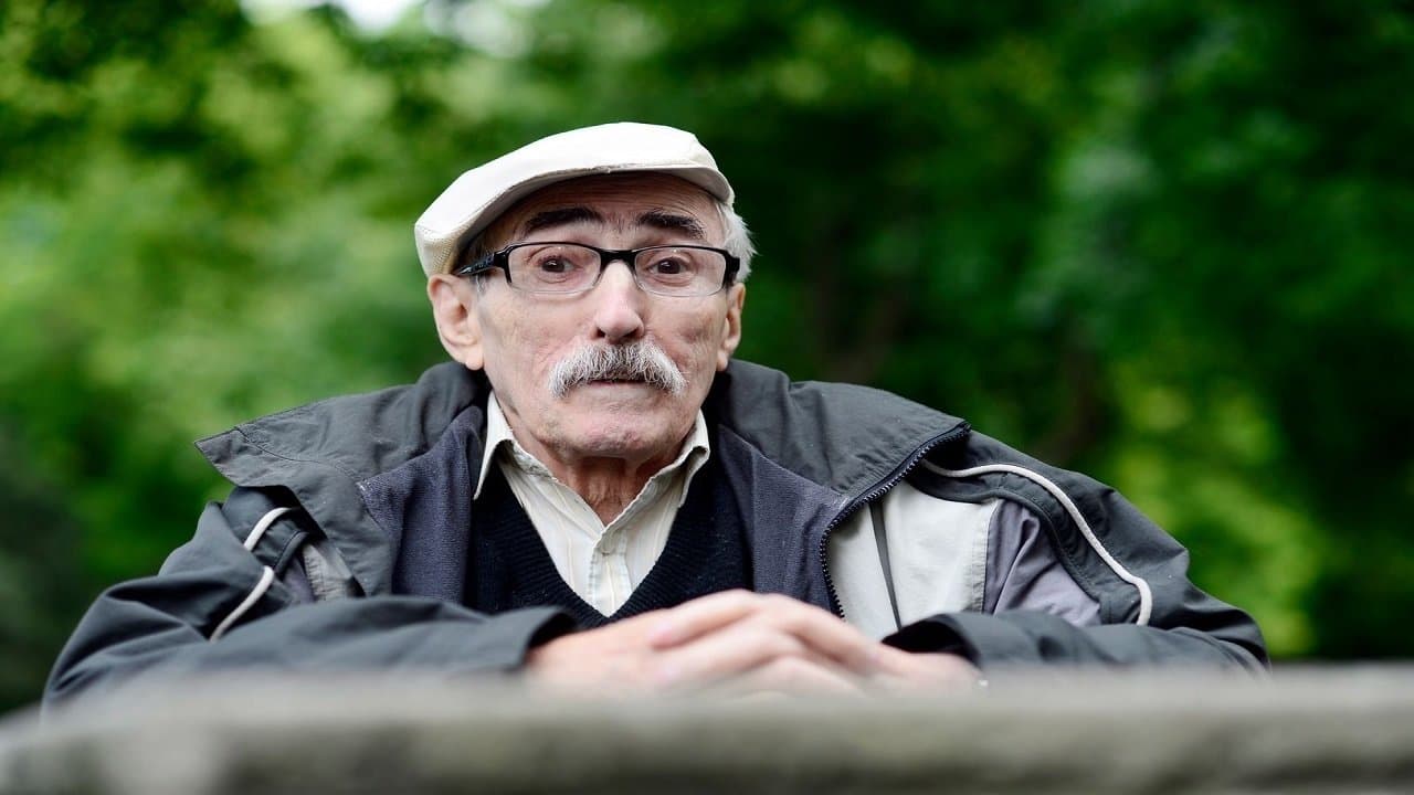 Cnotaの背景画像