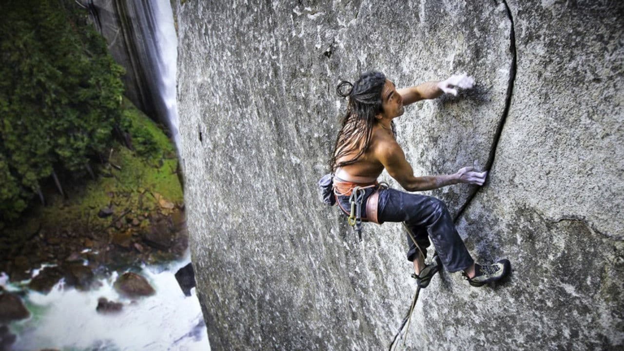 Deep Rootsの背景画像