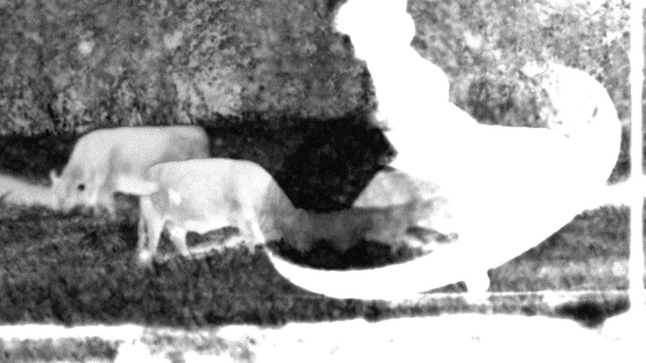 A Formal Explanation of the Experience of Witnessing "blue"の背景画像