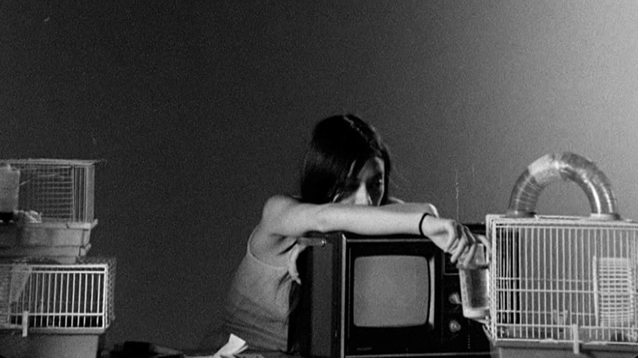 Letters to Paul Morrisseyの背景画像