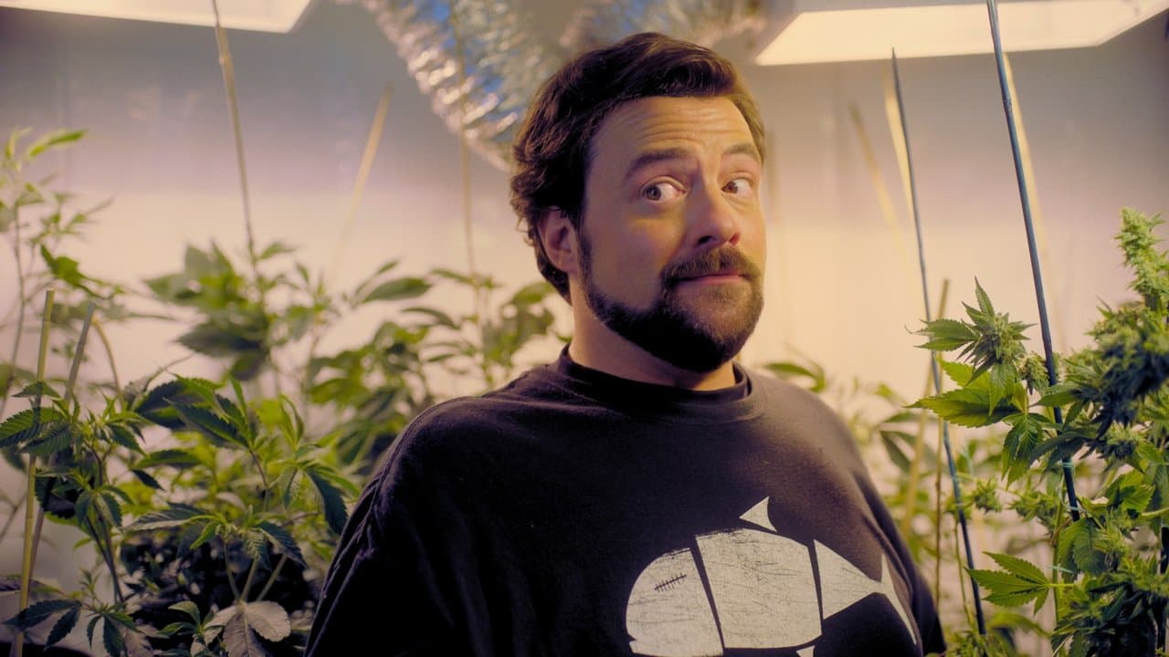 Hollyweedの背景画像