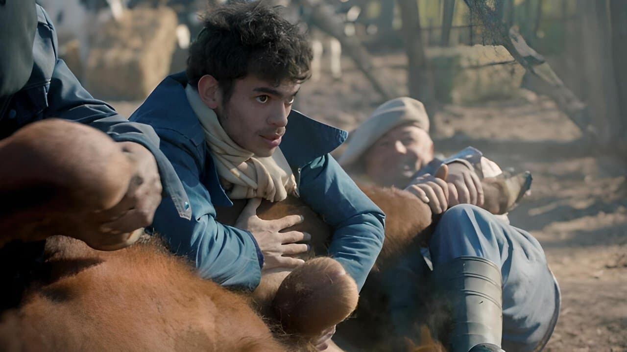 Mataderoの背景画像