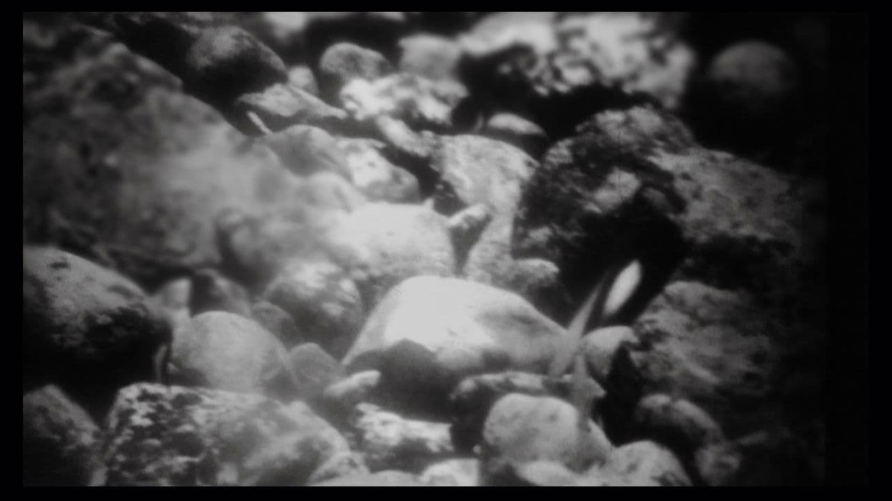 Mud and Dawnの背景画像