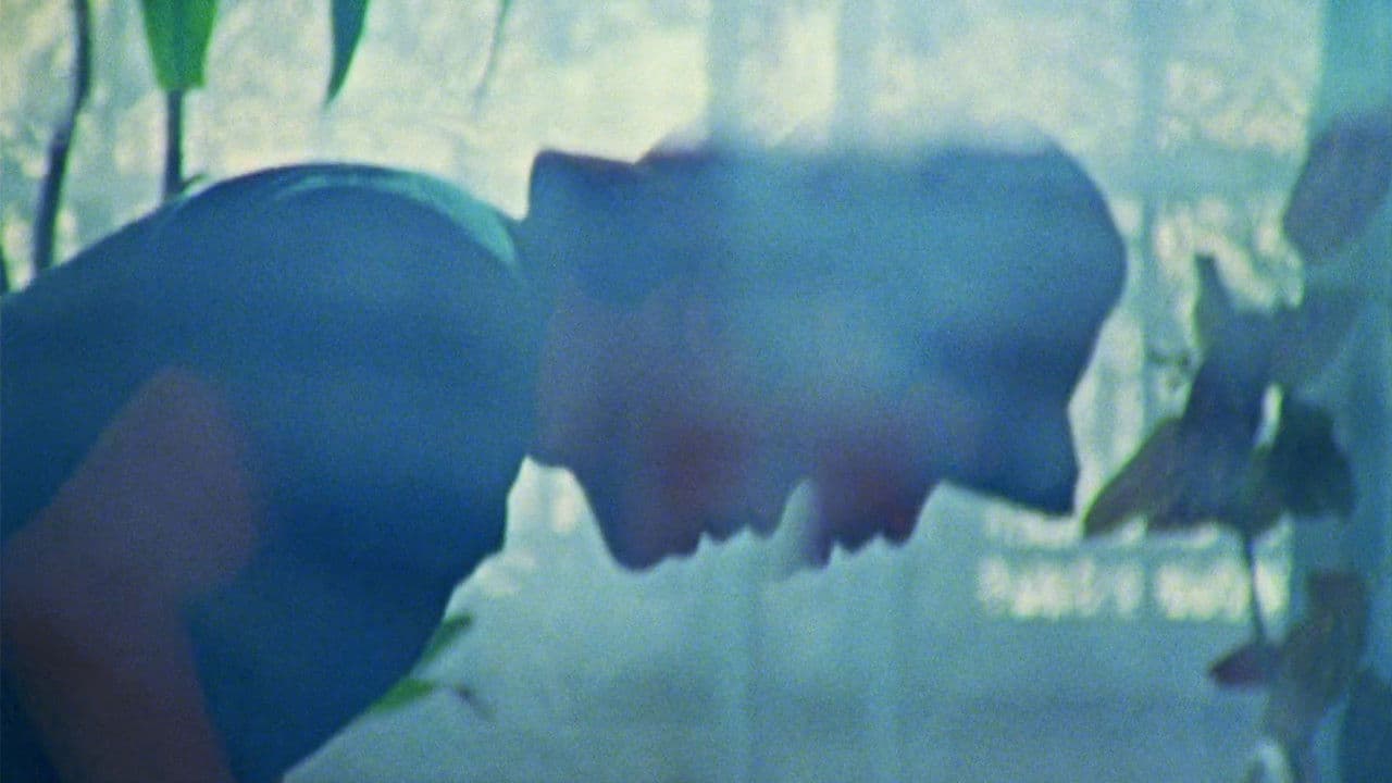 Fidelの背景画像