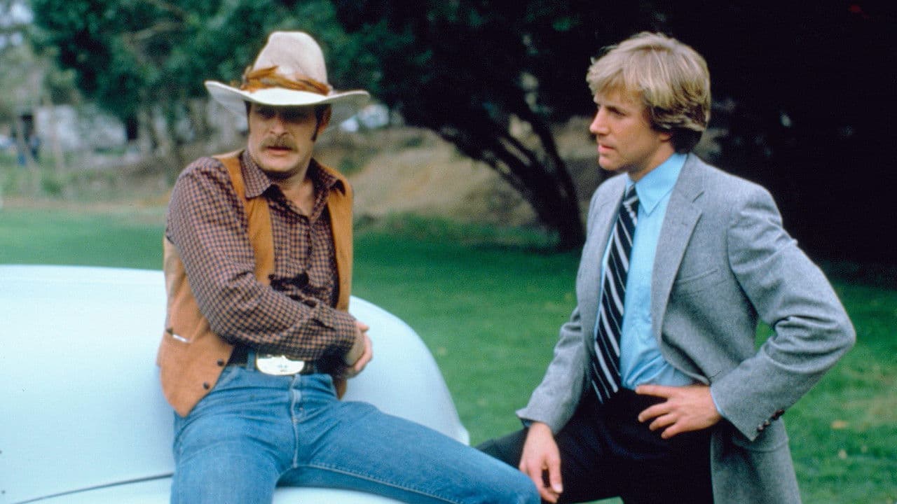 Simon & Simonの背景画像